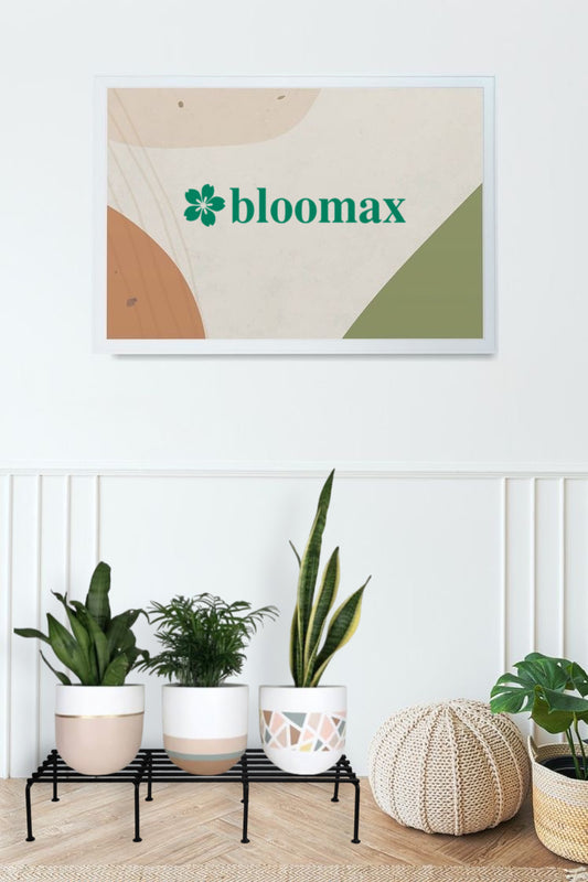 bloomax® Rectangle Black Stand,80 Kg Weight Carrying Capacity, 24 inches, (Black Rectangle)