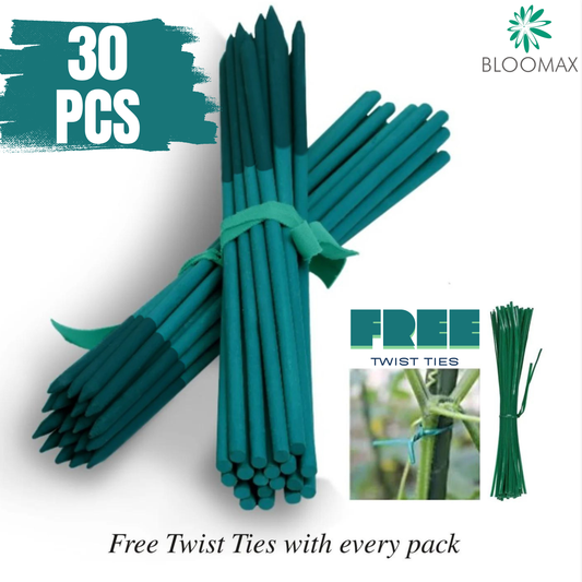 60 CM/10mm Hardwood Teal Green Wooden Plant Support Sticks (Pack Of -30 Pcs)