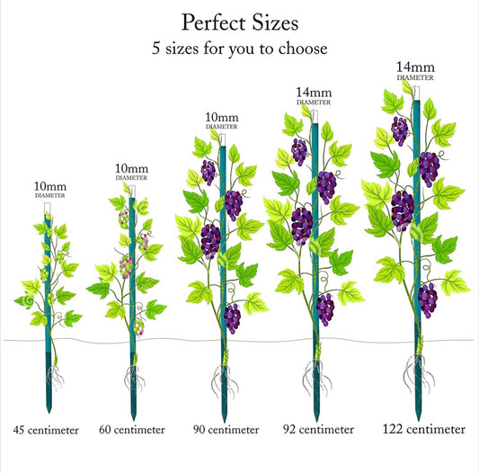 BLOOMAX® Hardwood Plant Support Stakes Teal Green Wooden Sticks With 80+ Free Twist Ties Plant Support Stakes for Indoor and Outdoor Plants, Wooden Sign Posting Flower Pot Garden Stakes