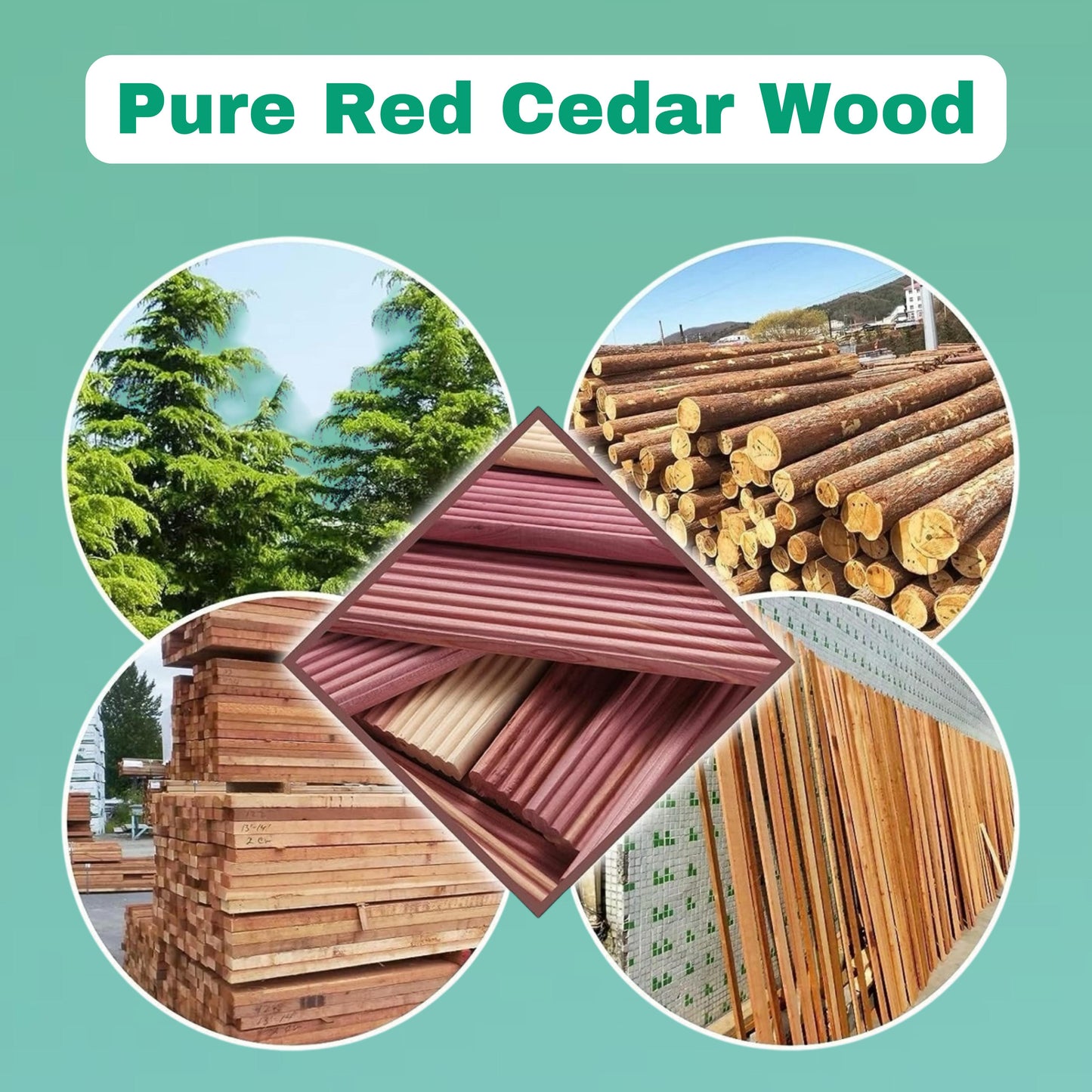 BLOOMAX® Original Natural Cedar Wood Blocks Moth Repellent I Aromatic Cedar Blocks (40 Pcs)