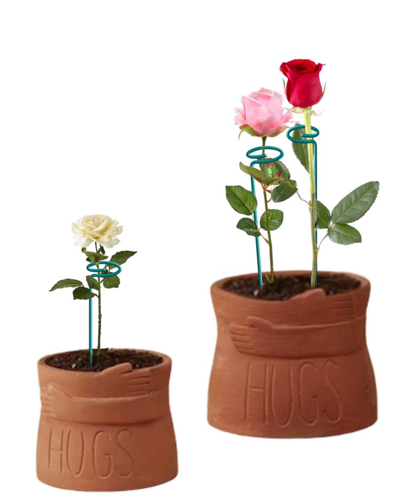 BLOOMAX® Garden Plant's Support Stakes, 4mm Thick Garden Single Stem Flower Support Stake Amaryllis Plant Cage Support Rings with 20-Psc Free Twist Tie's for Tomato Orchid Lily Peony Rose Flower Stem