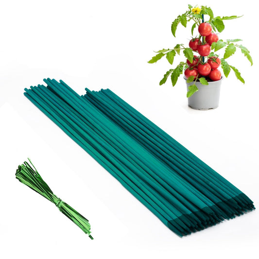 3 Feet/10mm Premium Hardwood Teal Green Wooden Plant Support Sticks (Pack Of -22 Pcs) With Free Twist Ties