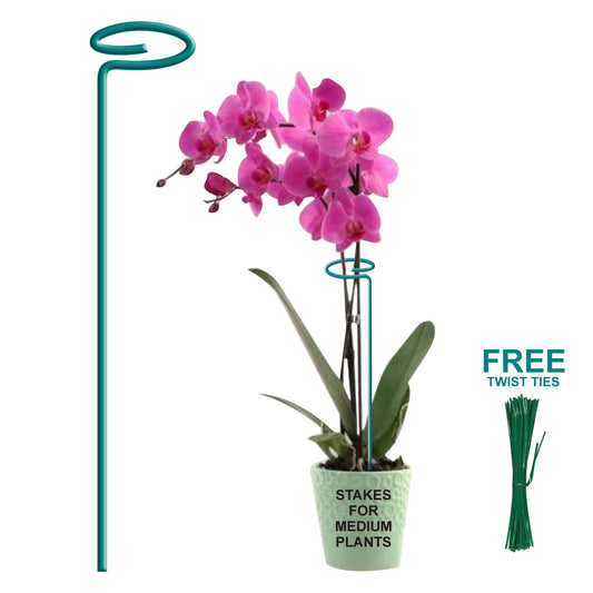 BLOOMAX® Garden Plant's Support  Stakes, 4mm Thick Garden Single Stem Flower Support Stake Amaryllis Plant Cage Support Rings with 20-Psc Free Twist Tie's for Tomato Orchid Lily Peony Rose Flower Stem