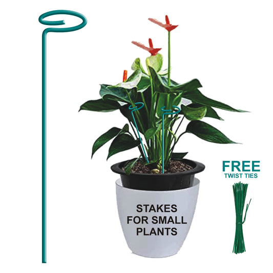 BLOOMAX® Garden Plant's Support  Stakes, 4mm Thick Garden Single Stem Flower Support Stake Amaryllis Plant Cage Support Rings with 20-Psc Free Twist Tie's for Tomato Orchid Lily Peony Rose Flower Stem