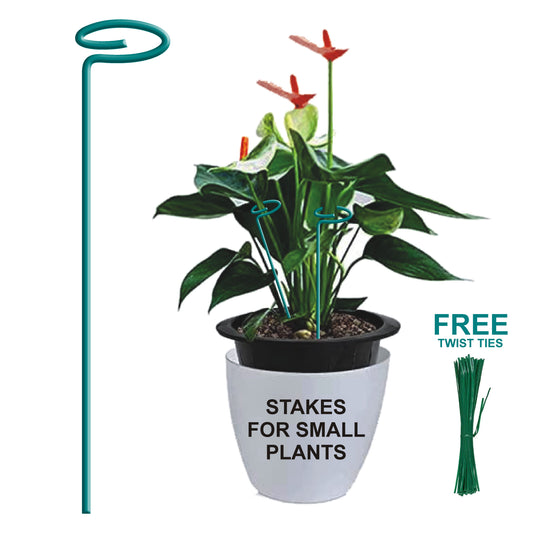 BLOOMAX® Garden Plant's Support Stakes, 4mm Thick Garden Single Stem Flower Support Stake Amaryllis Plant Cage Support Rings with 20-Psc Free Twist Tie's for Tomato Orchid Lily Peony Rose Flower Stem