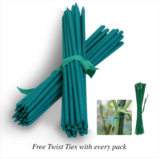 BLOOMAX® Hardwood Wooden Plant Support Stick's With Free Twist Tie's