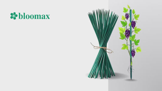 (1.5Ft, 2Ft, 3Ft, 4Ft) Wooden Plant Support Sticks All Sizes Bundle